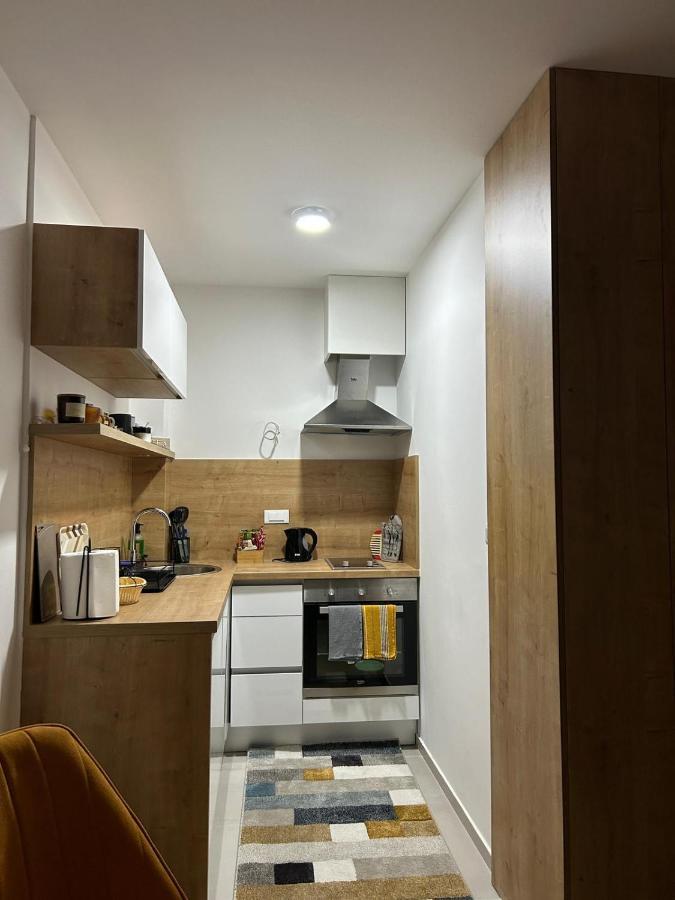 Sova Studio Apartment Белашница Экстерьер фото